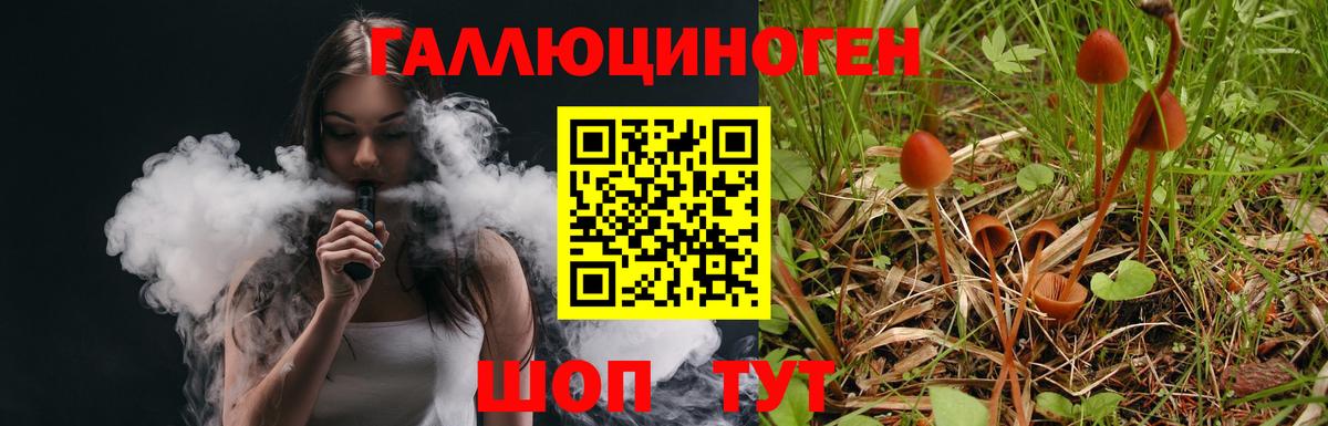Шахты  Галлюциногенные грибы мицелий  Вход с VPN 