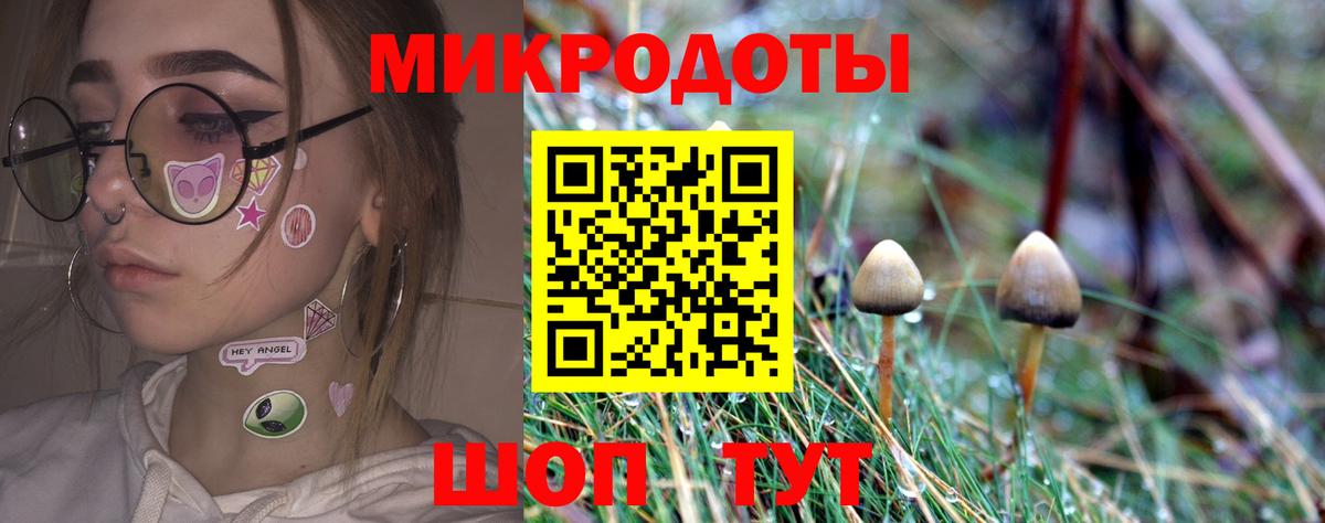 Псилоцибиновые грибы прущие грибы Шахты